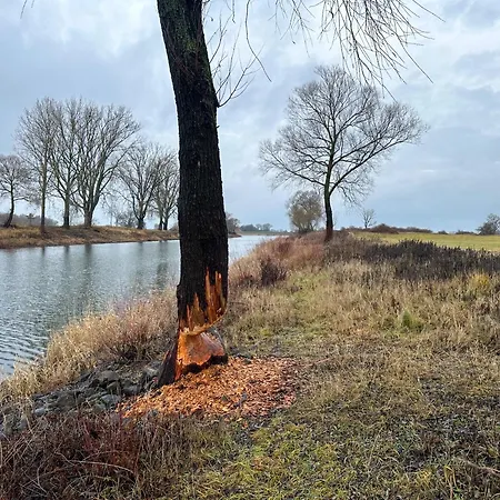 Kiek * Hitzacker